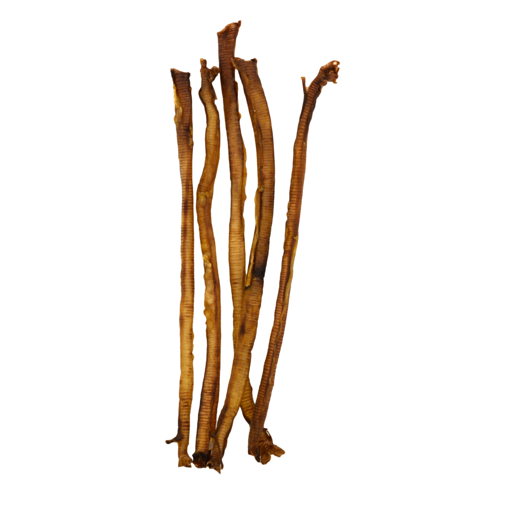 #21 Turkey Trachea – Large