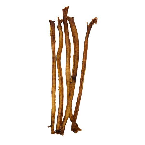 #21 Turkey Trachea – Large
