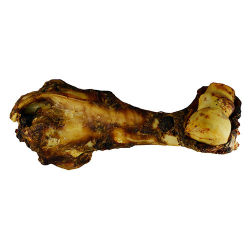 #6 Dino Bones (Beef Bone)